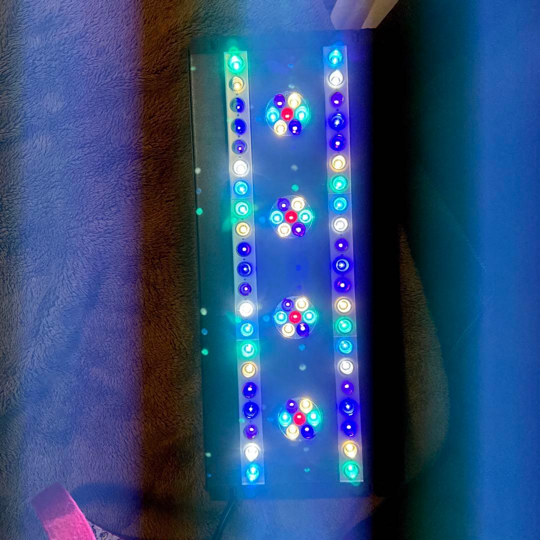 SPECTRA SP200 スペクトラ　サンゴ育成　アクアリウム