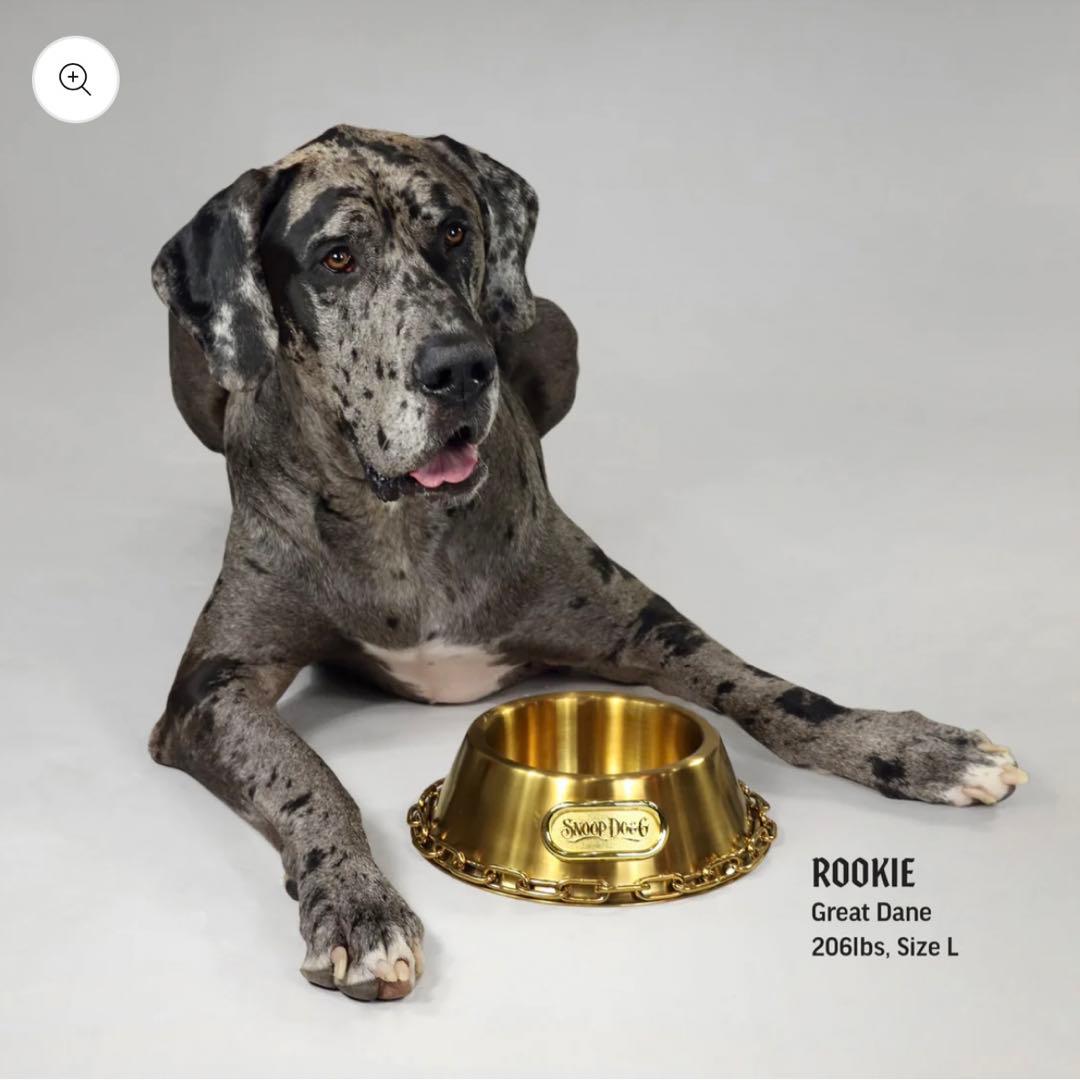 スヌープドッグ　お皿　フードボール　金色　Lサイズ　カッコイイ　犬　コラボ