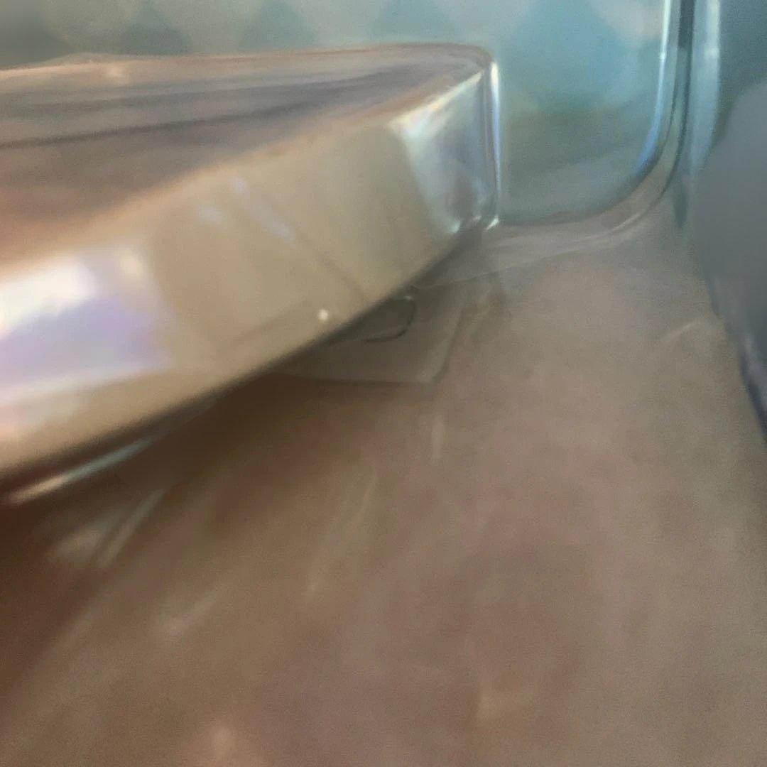 【新品未開封】ライザのアトリエ2 ライザ ー白水着ver. 公式特典付き