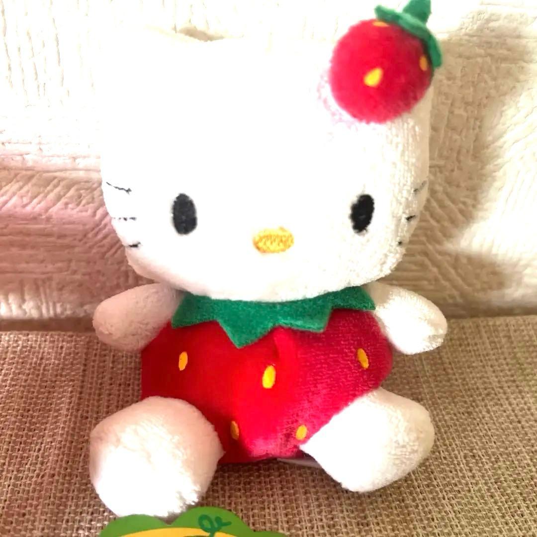 激レアハローキティ フルーツガーデンいちごケース入り 2001年着ぐるみ レトロ