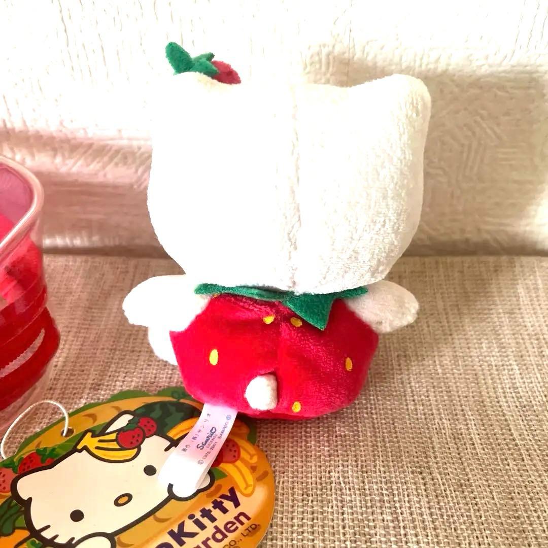 激レアハローキティ フルーツガーデンいちごケース入り 2001年着ぐるみ レトロ