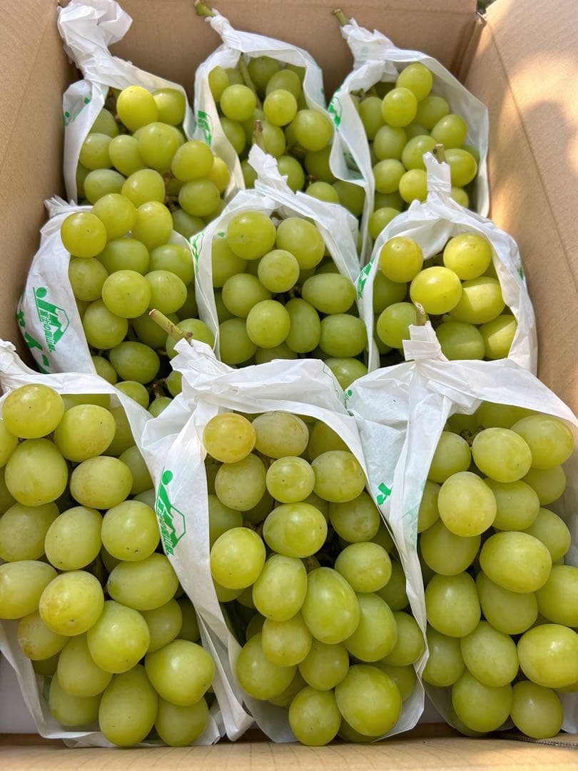 5-8 山梨県産　ぶどう　シャインマスカット 正味5キロ　家庭用
