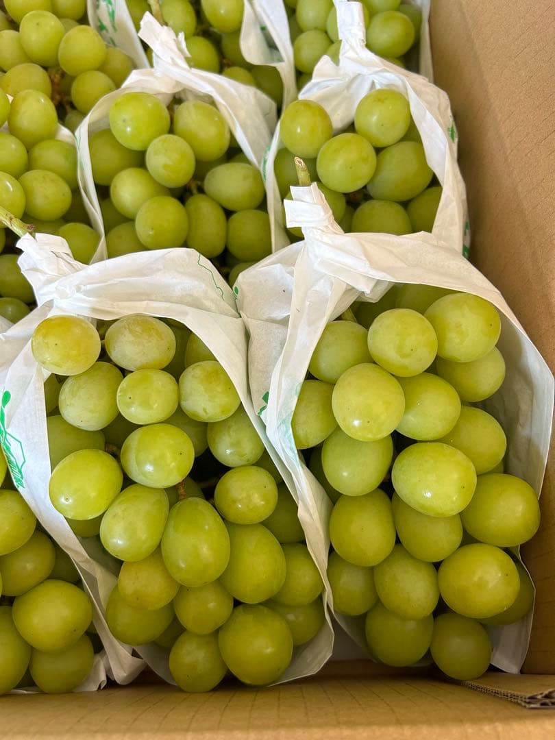 5-8 山梨県産　ぶどう　シャインマスカット 正味5キロ　家庭用