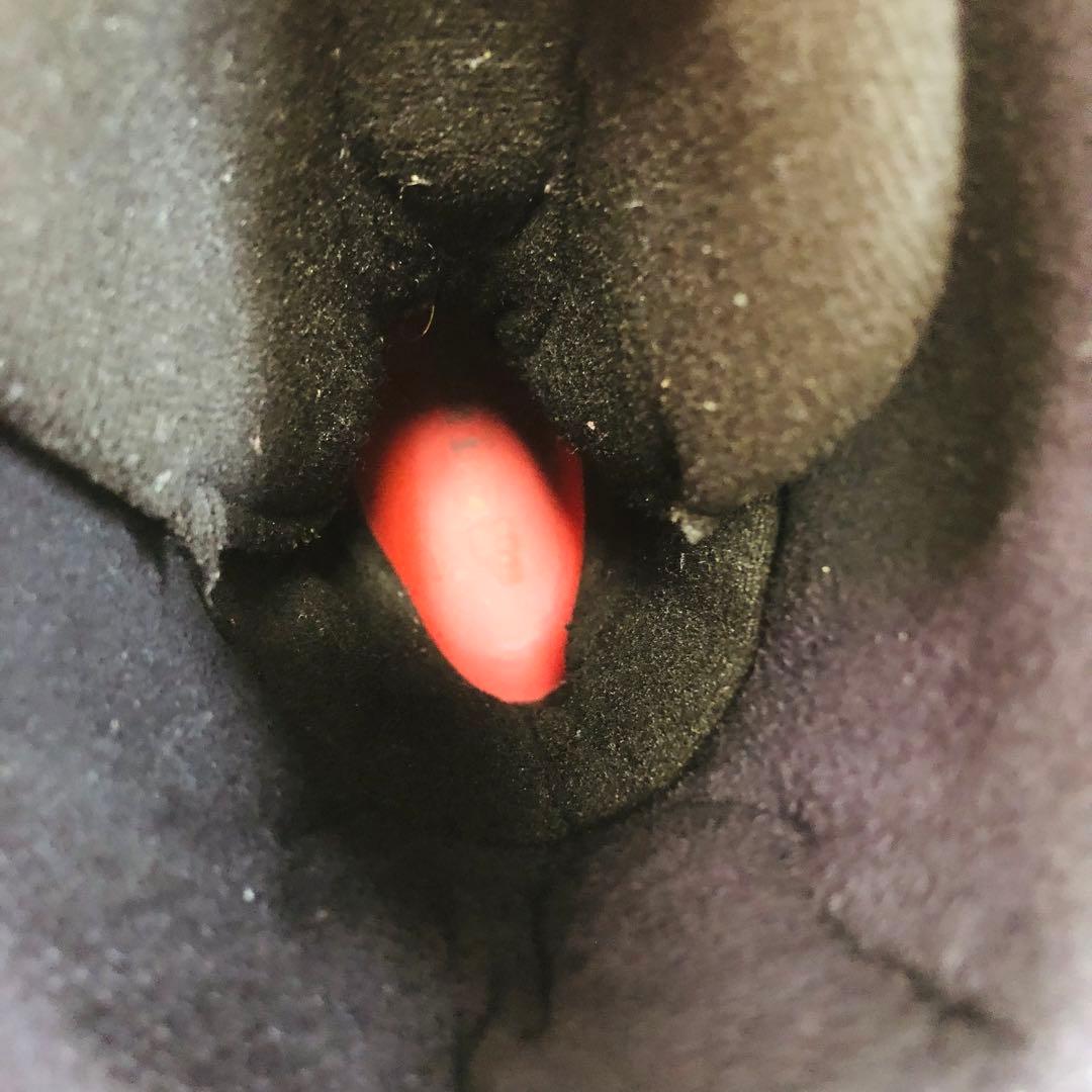 RIDE ANTHEM スノーボードブーツ 27.0cm BOA