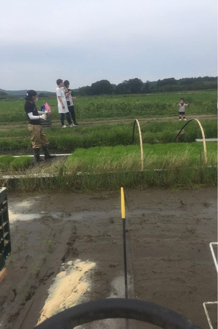 【れんげ米　玄米20.0kg コシヒカリ又はあさひの夢】　農薬不使用