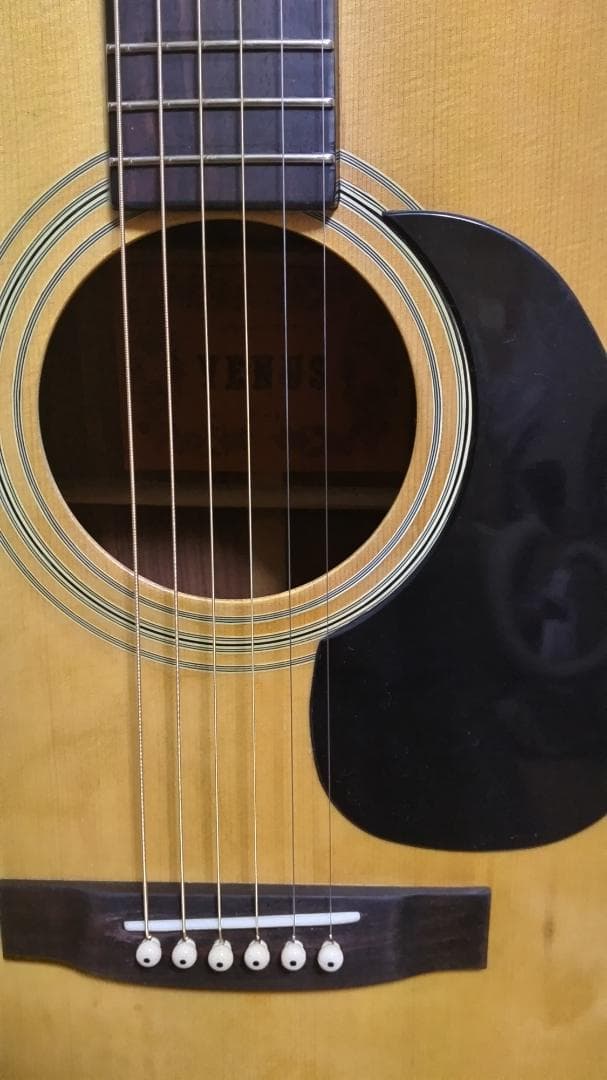 ❤️弦高調整済！「VENUS　ヴィーナス　W-20 　スガノ楽器」★音良すぎ！