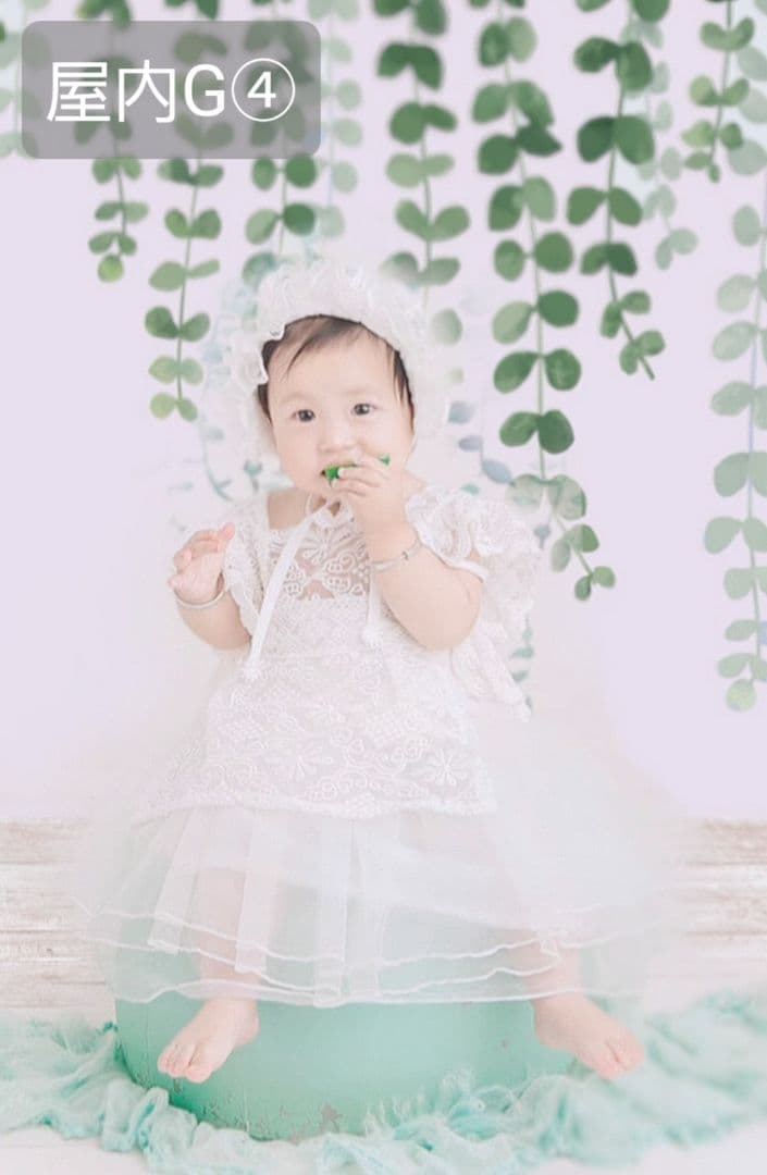 背景布【　ガーデンF　】ペット撮影用フォトブース　トリミングサロン