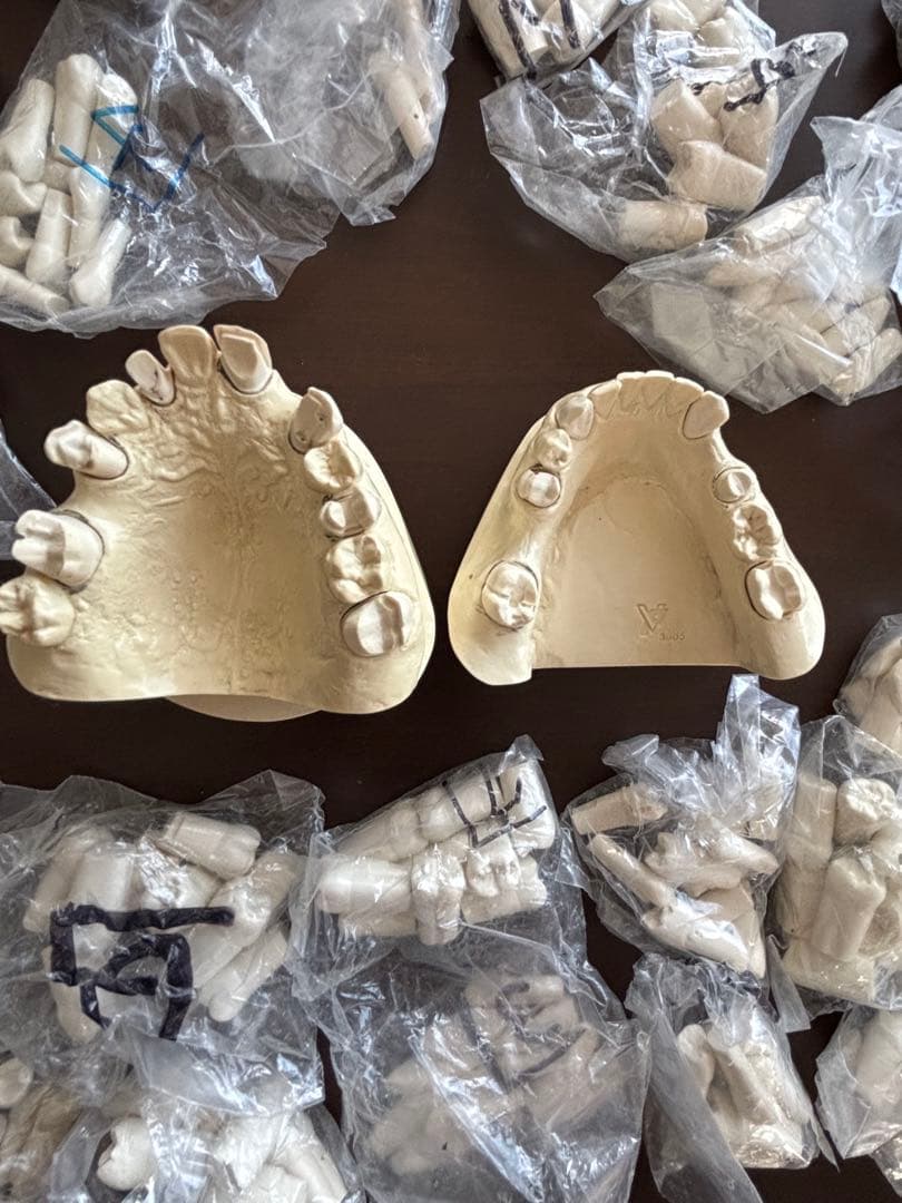 歯科　支台歯形成　練習模型　セット