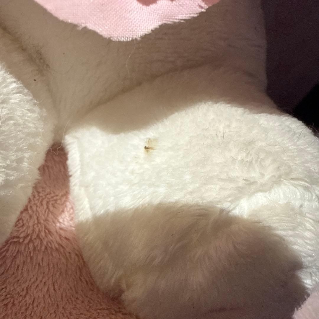 マイメロディ 40周年記念 ぬいぐるみ