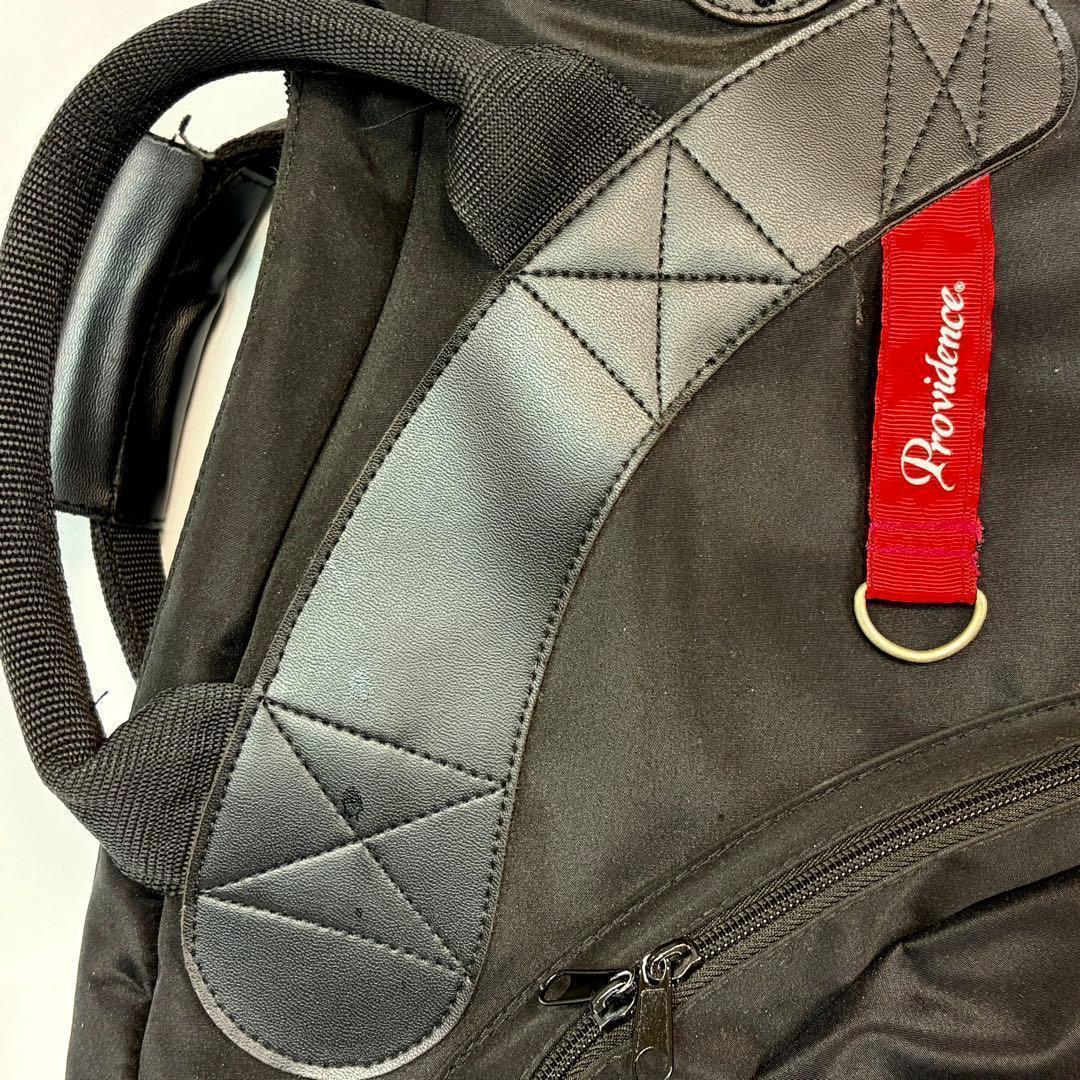 Providence ベース ギグバッグ　ソフトケース 衝撃吸収　プロビデンス