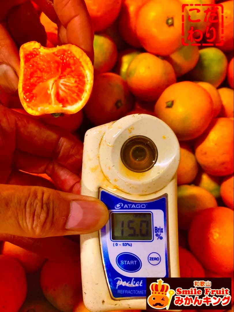 専用出品　Mikeo様　10kg