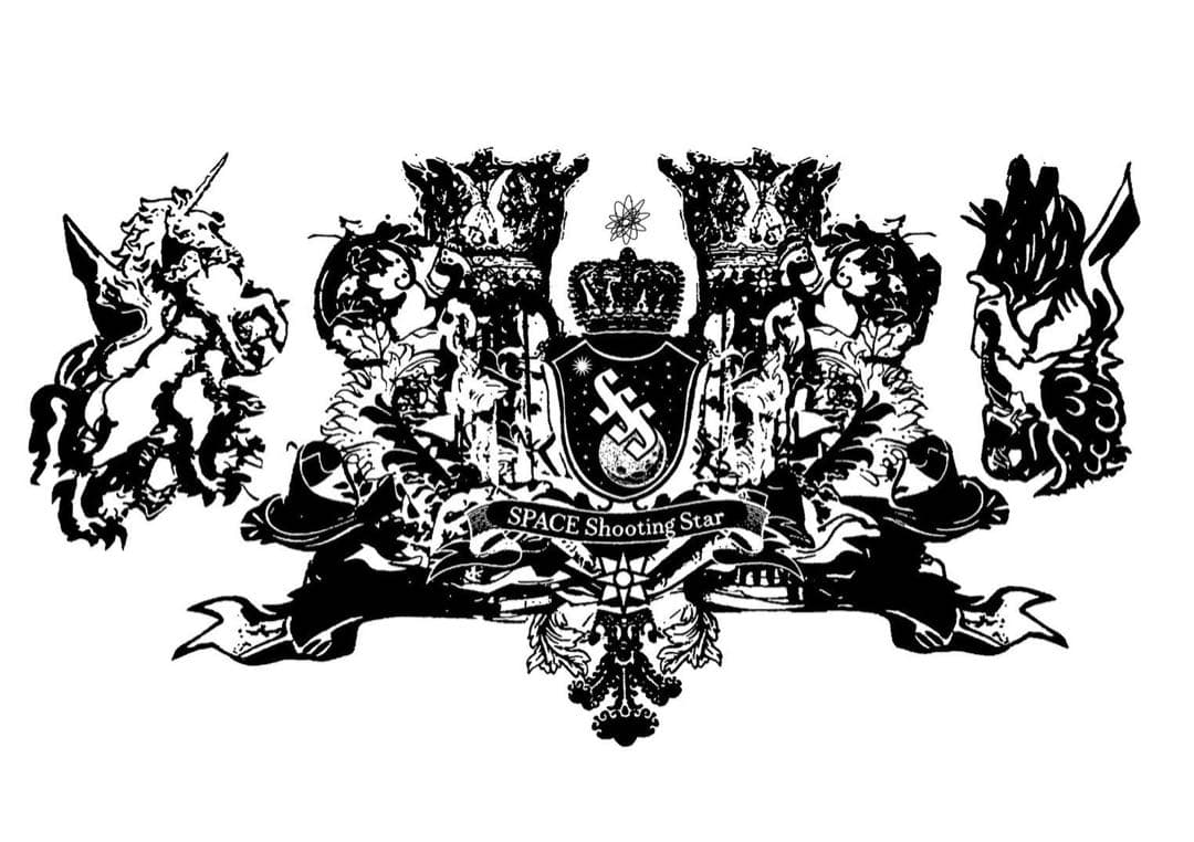 宇宙の流れ星の粉 ✨✨✨　　✨ホワイトフェアリーウィッシュ✨✨✨