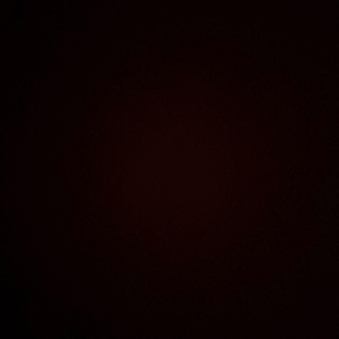 ラグビー サポーター