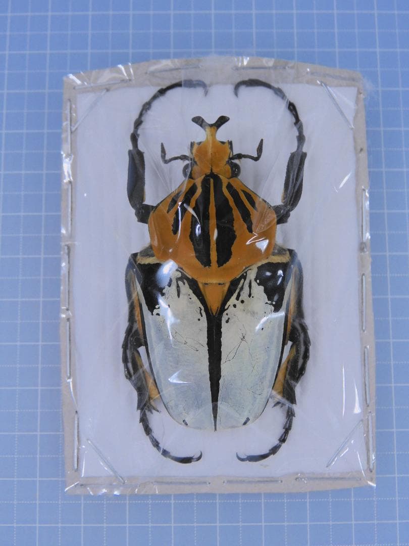 aiueo39様 リクエスト 2点 まとめ商品