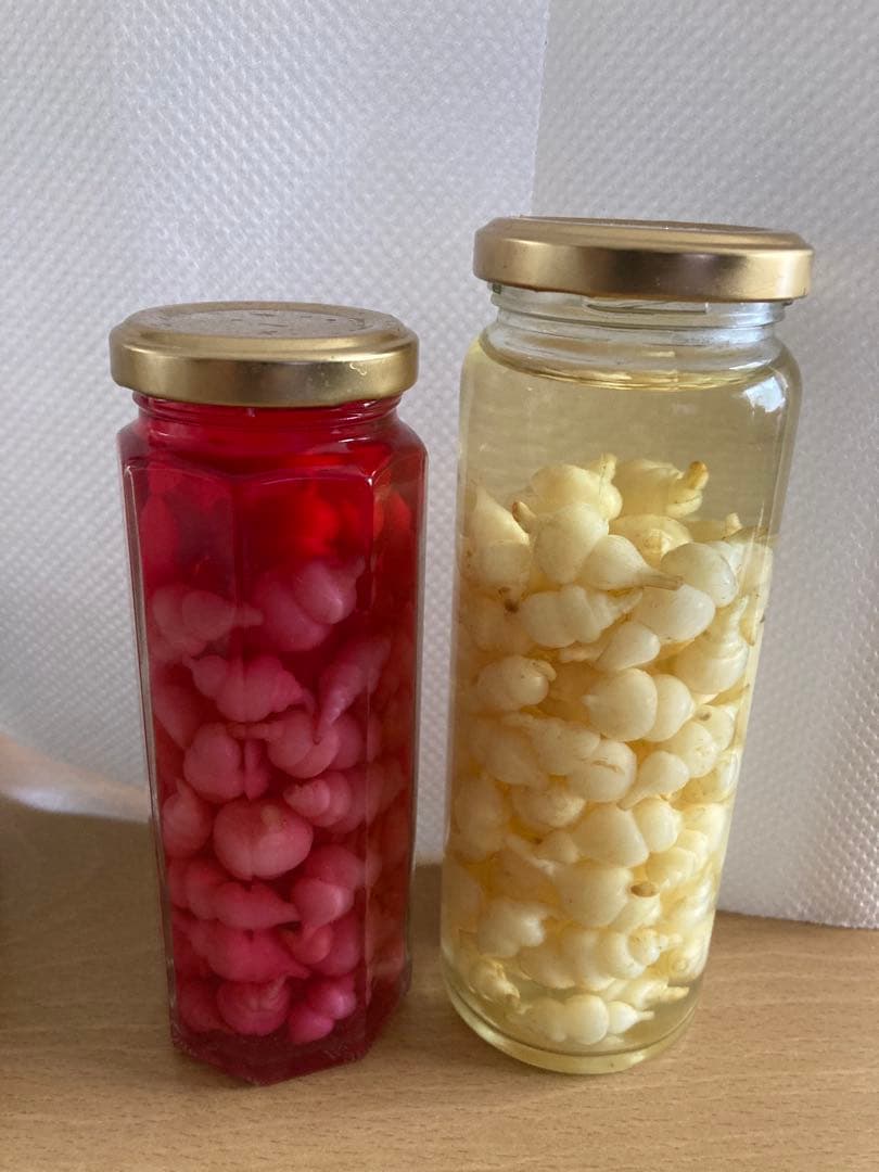 ちょろぎ2kg 珍しい生のちょろぎを採りたてでお届け※種芋にもなります#02