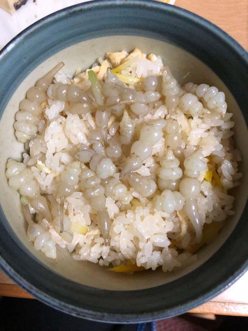 ちょろぎ2kg 珍しい生のちょろぎを採りたてでお届け※種芋にもなります#02