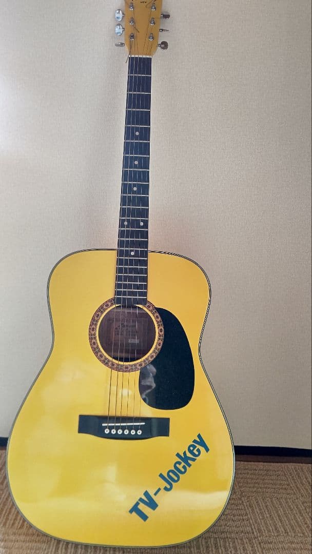 イエロー アコースティックギター TV-Jockey