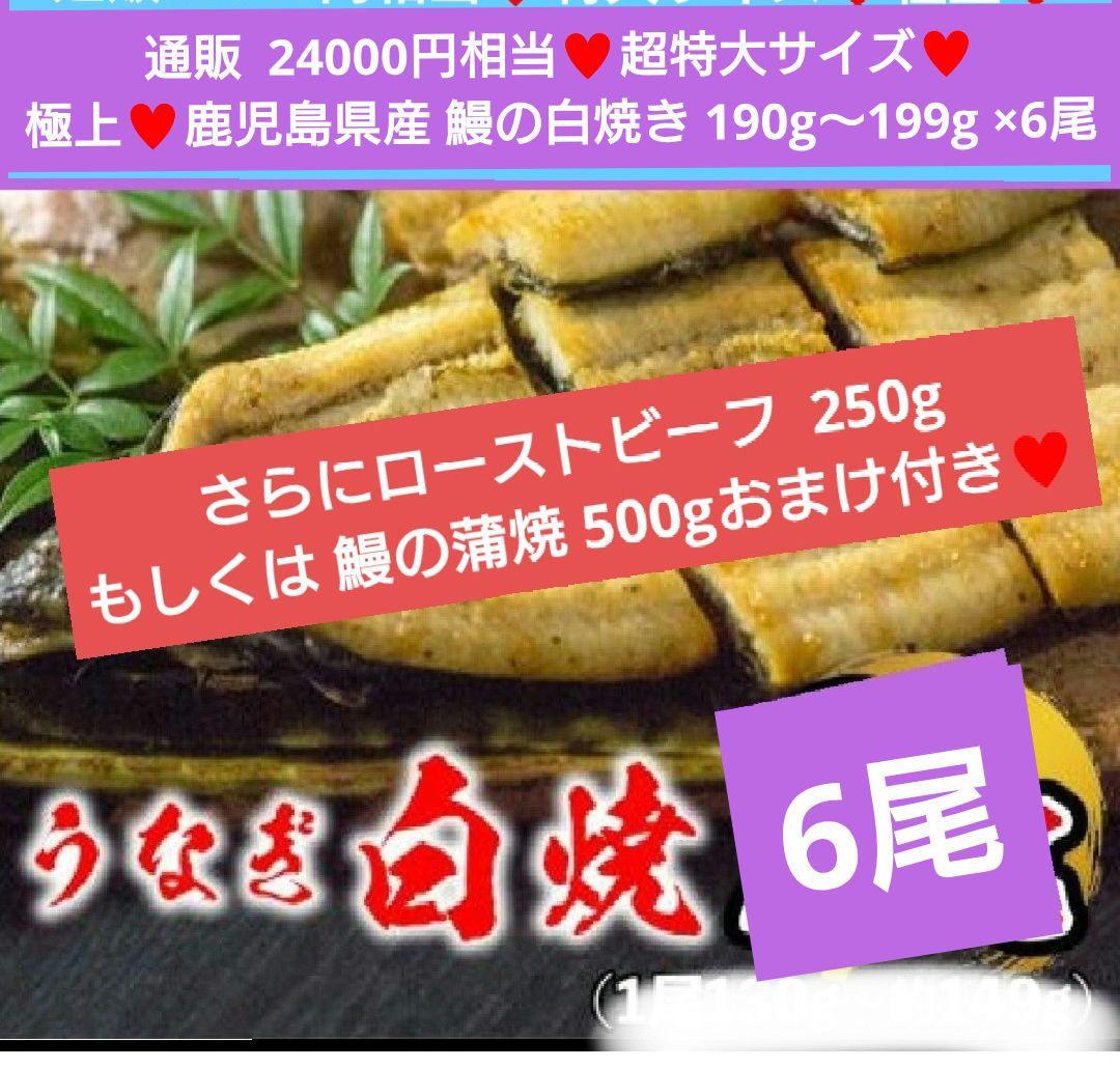 鰻の白焼き 190g～199g うなぎ 白焼き 蒲焼き 鰻の蒲焼 ウナギ