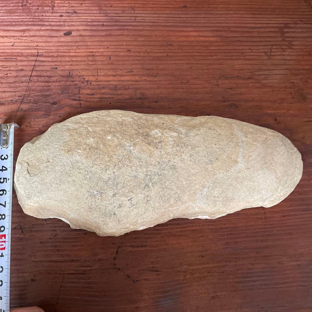 魚　化石　　古代魚