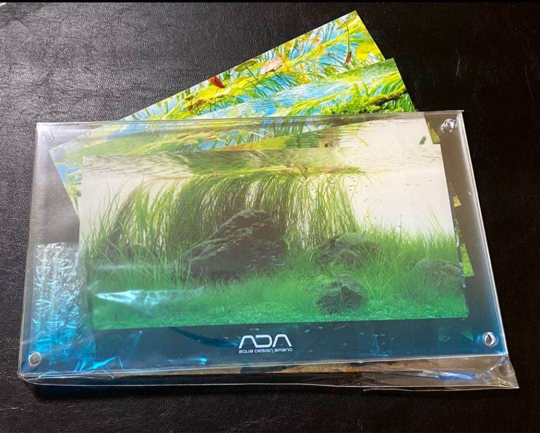 ADA社屋限定販売品＊ADA フォトフレーム　アクアデザインアマノ