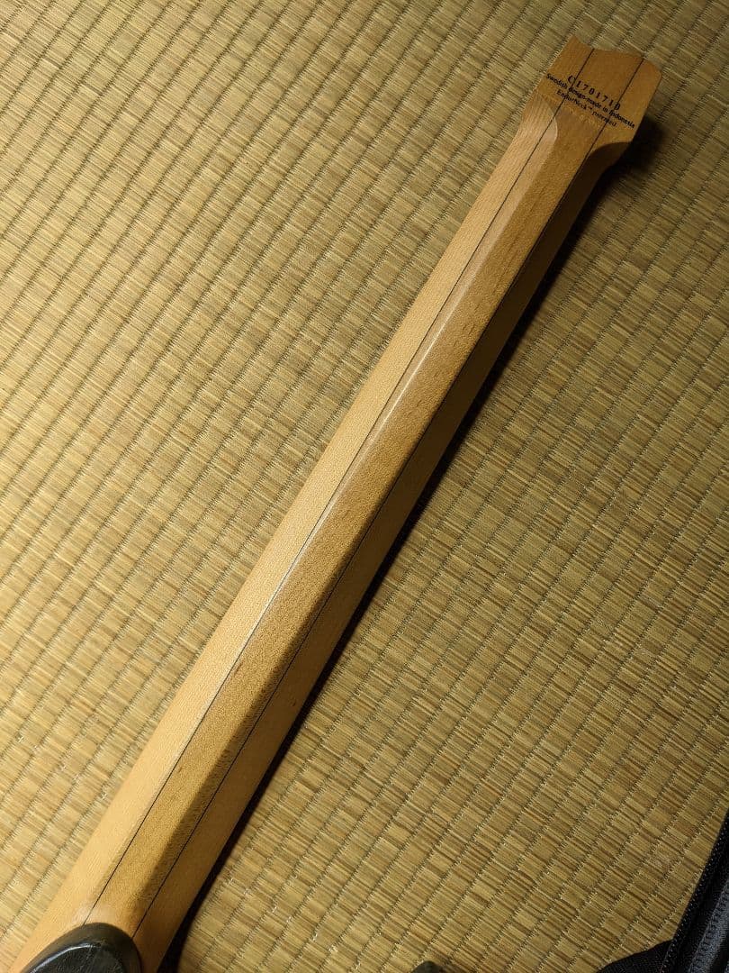 ギター Strandberg Original 6 black