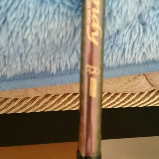 宇崎日清 ベルダンディβ 8f