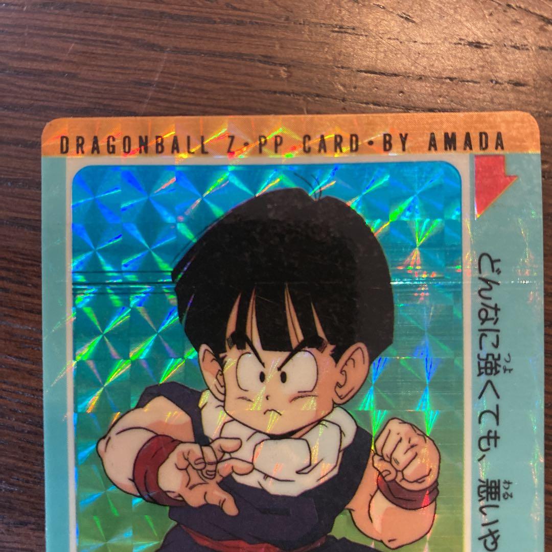 ドラゴンボール　カードダス  アマダ　256 エラーカード