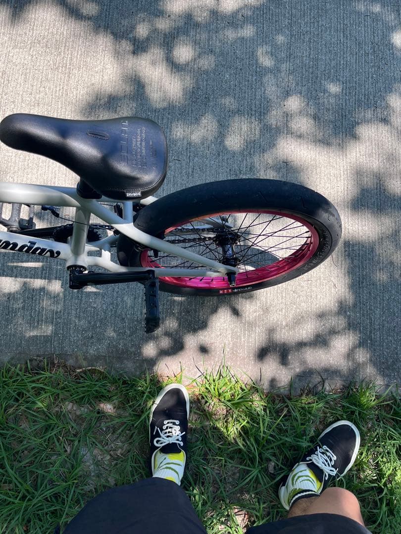 sunday×profile×animal×skapegoat×odyssey