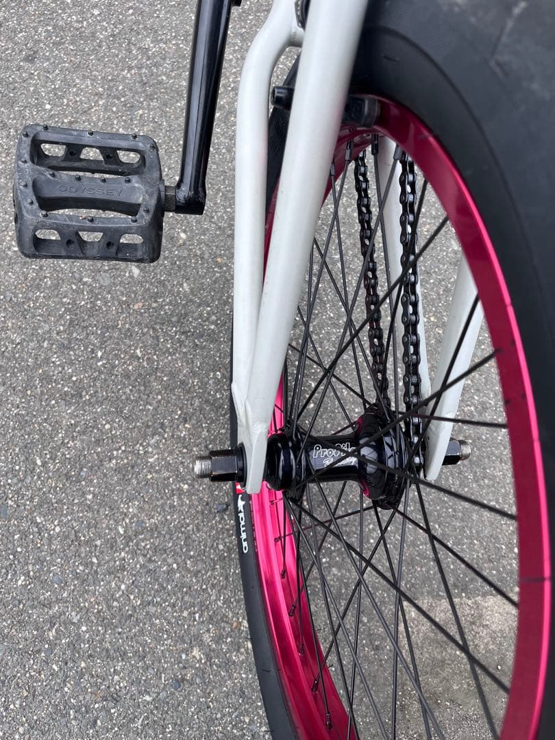 sunday×profile×animal×skapegoat×odyssey