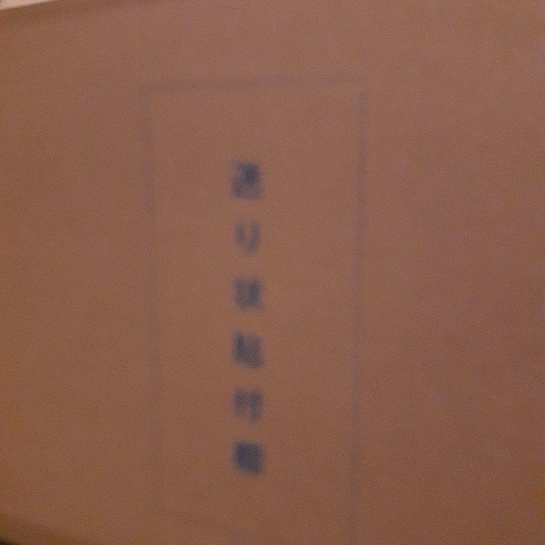 レオ様　二点セット