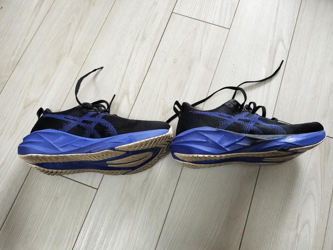 【最新モデル】アシックス ノヴァブラスト5 25.5cm（WIDE）