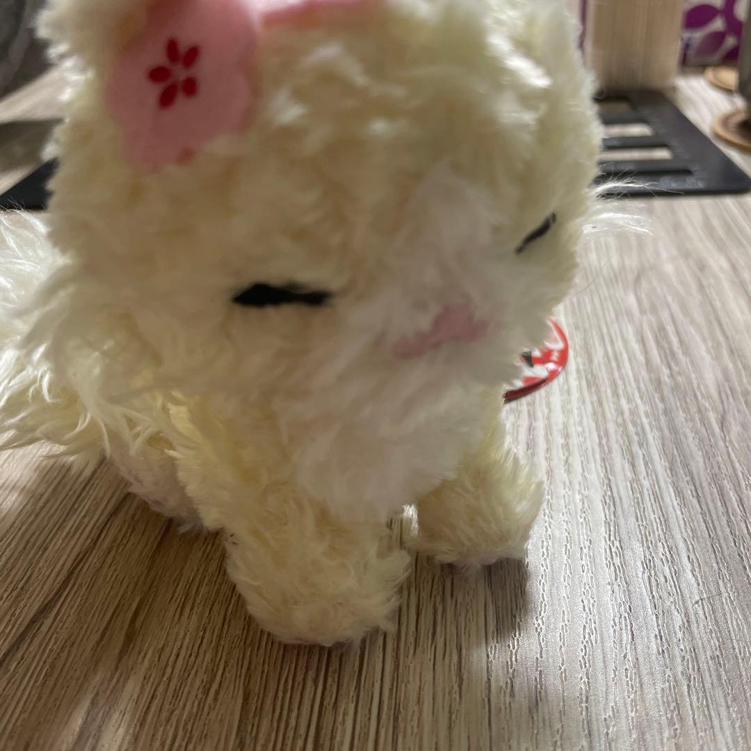 靴下にゃんこ　お正月ぬいぐるみ　ノルッチ　サンエックス　平成レトロ