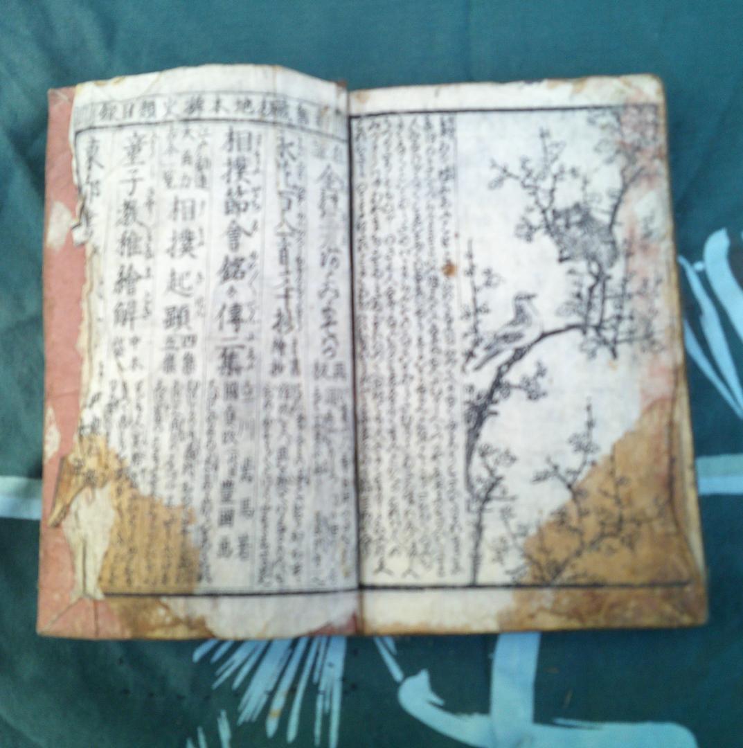 繪入講釋　實語教稚繪解　橋本蘭齋註釋 　五雲亭貞秀画　江戸　浮世絵　木版画