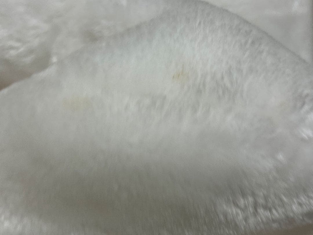 ミニー マフラーキャップ ファンキャップ ホワイト ディズニー