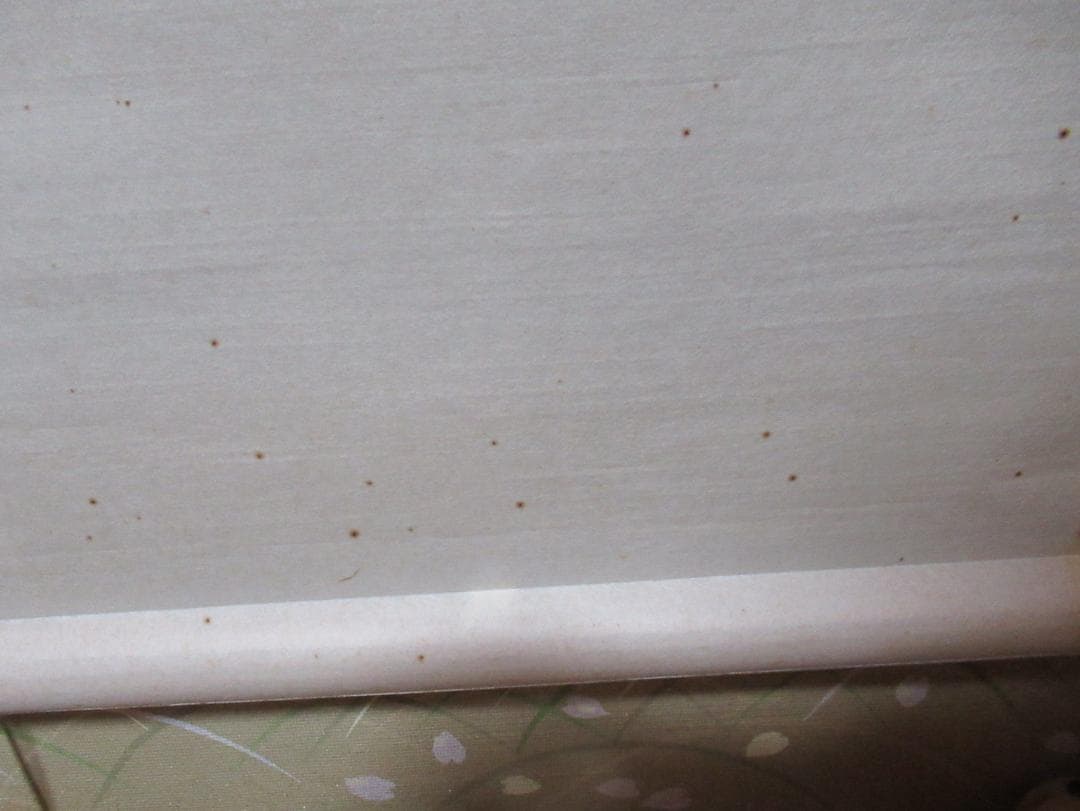 つ　大徳寺高橋悦道和尚直筆　雲収山岳青　共箱