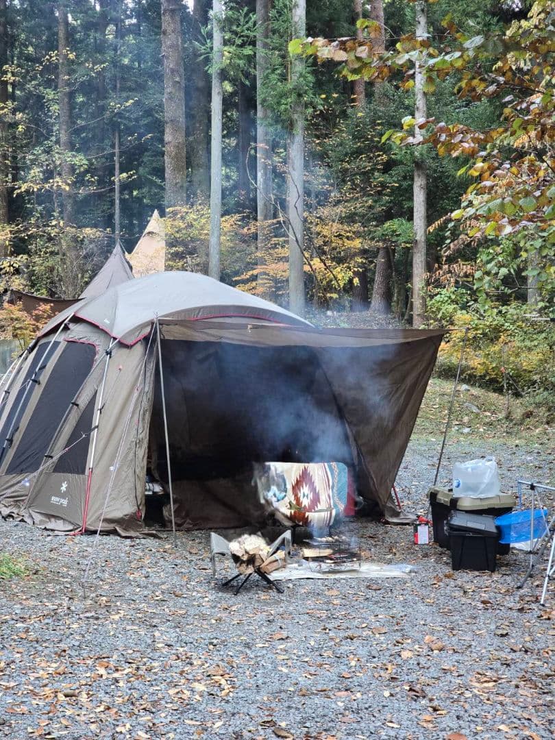  peakトルテュ Pro　TP770-R