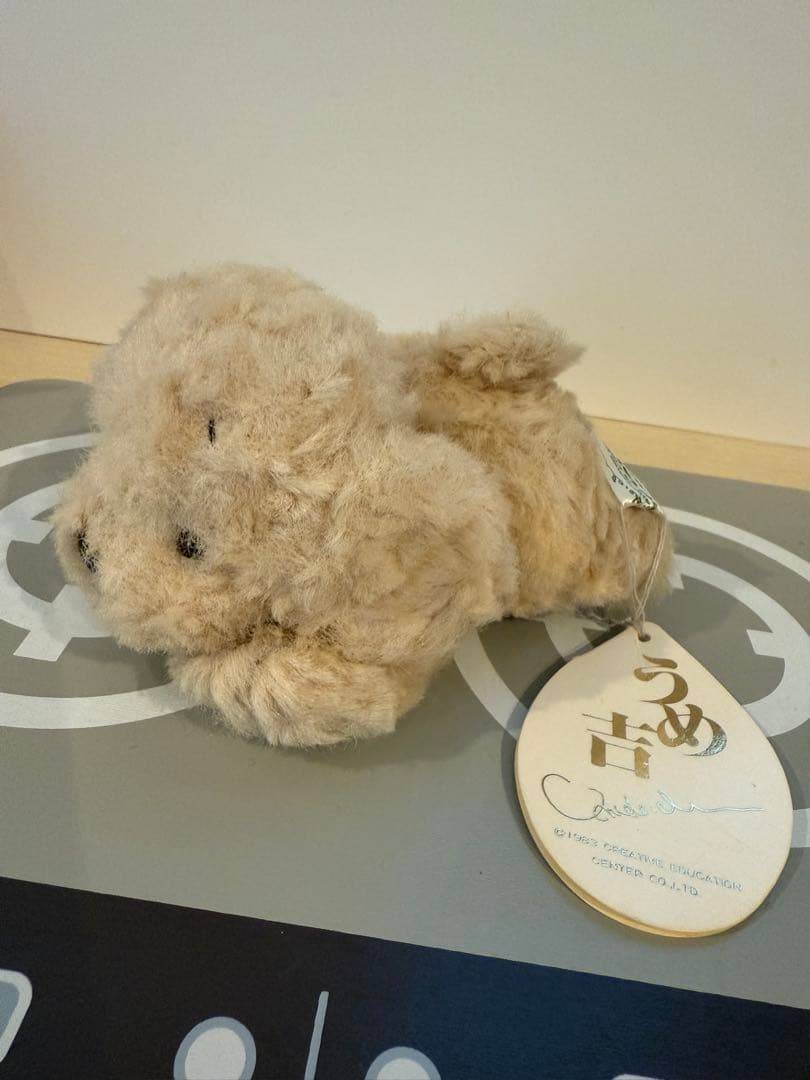 【入手困難】うめ吉　犬　ぬいぐるみ　寝そべり