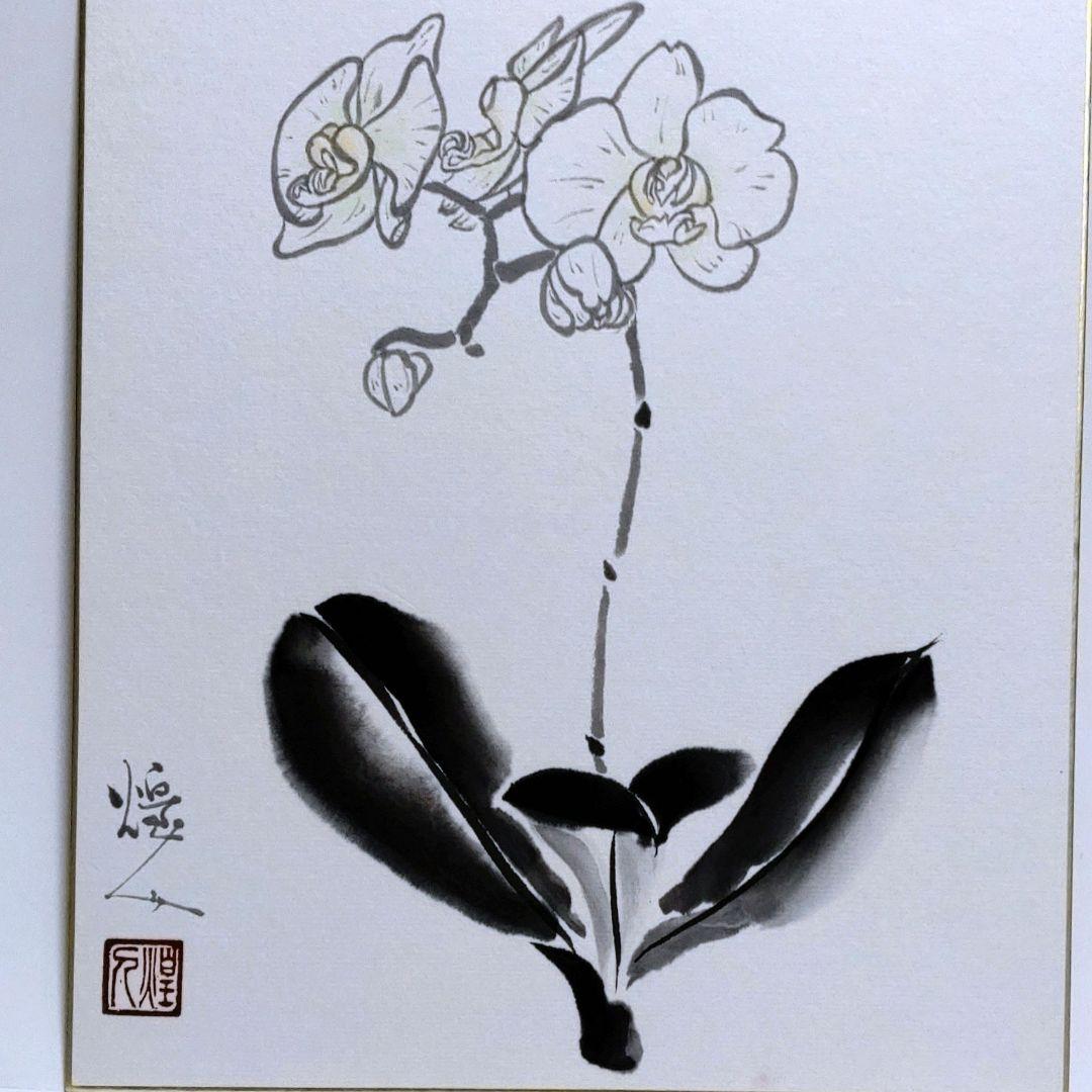 由水　煌人　伝統加賀友禅作家　直筆　胡蝶蘭　逸品