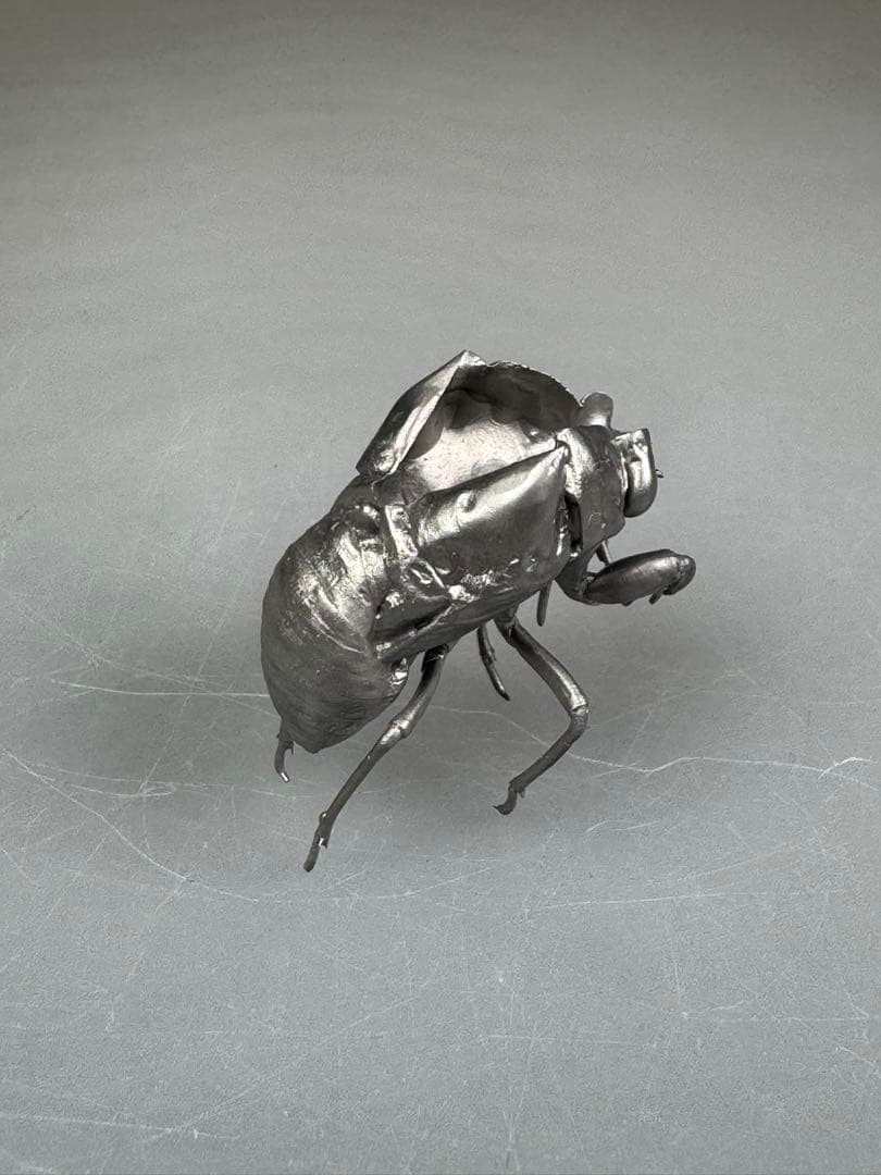 蝉　蝉の抜け殻　セミ　オブジェ　虫好き　金属製　標本