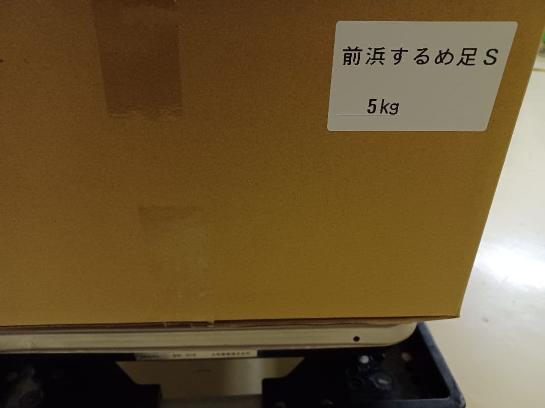 【大容量:1.6kg】 大好評珍味　前浜するめS足