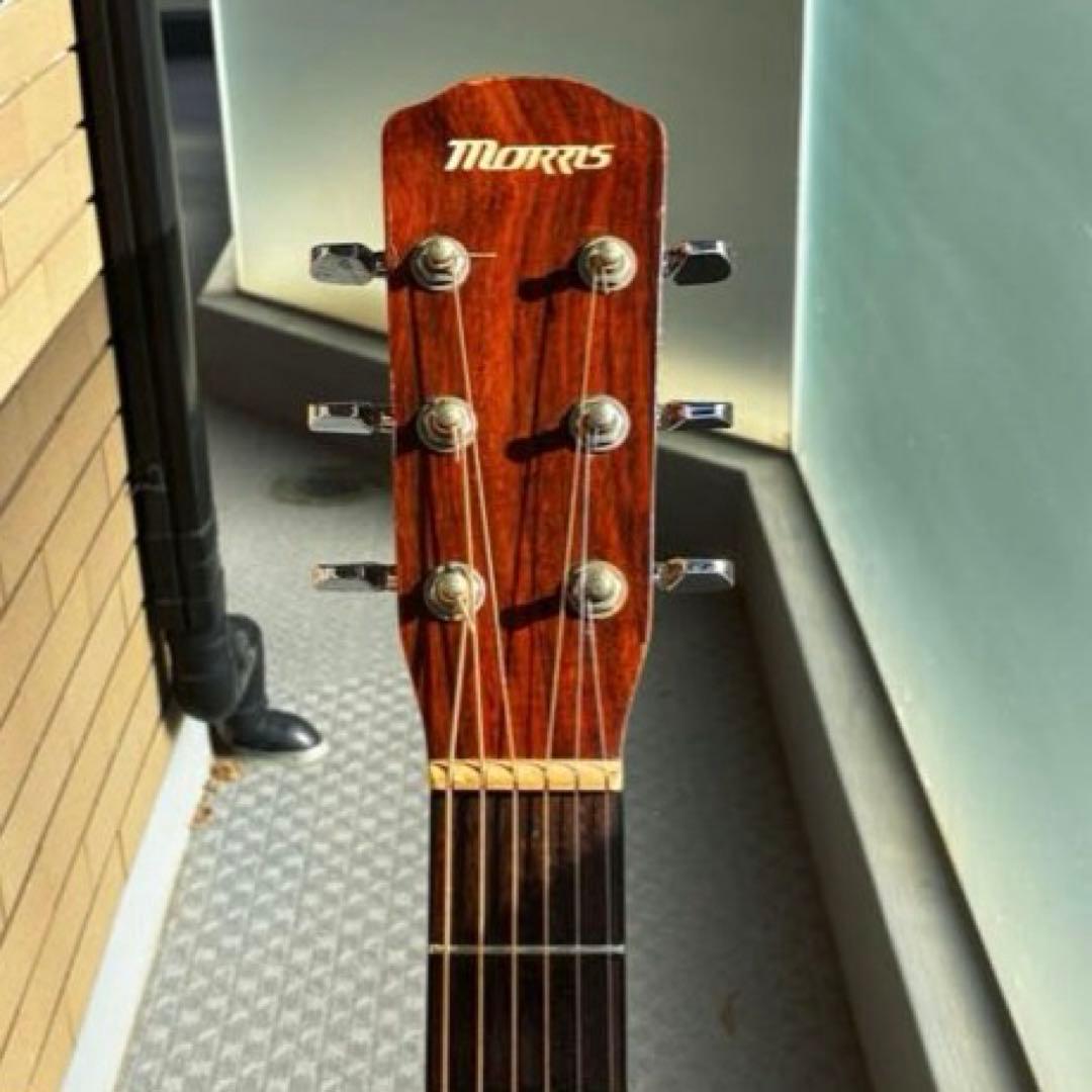 メダカちゃんページ【弦新品】Morris アコギ 初心者向け