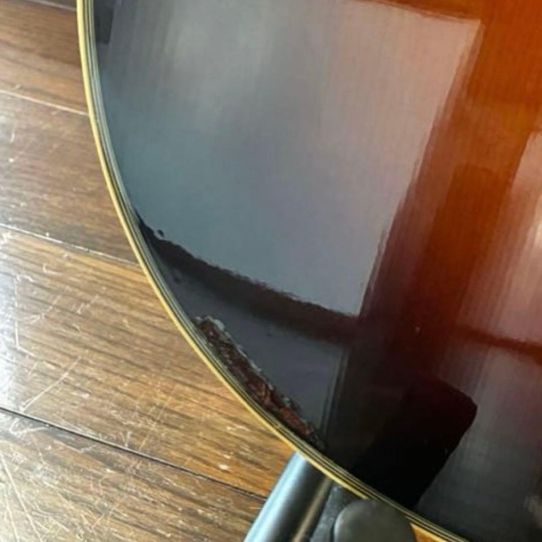 メダカちゃんページ【弦新品】Morris アコギ 初心者向け