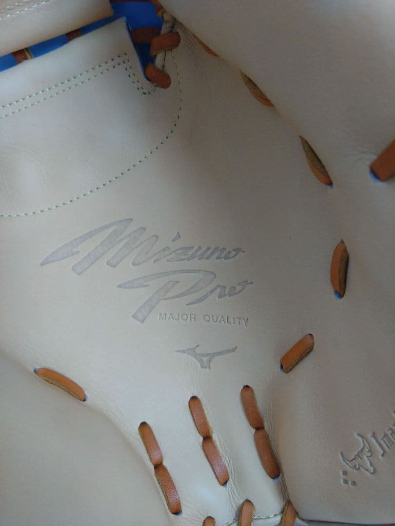 MIZUNO ミズノプロ 號SAKEBI　硬式捕手 M-R型1AJCH30010