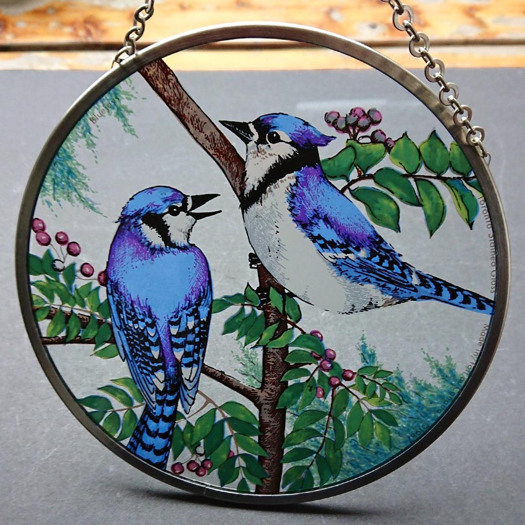 トロント・ステンドグラス Blue Jay ブルージェイ アオカケス