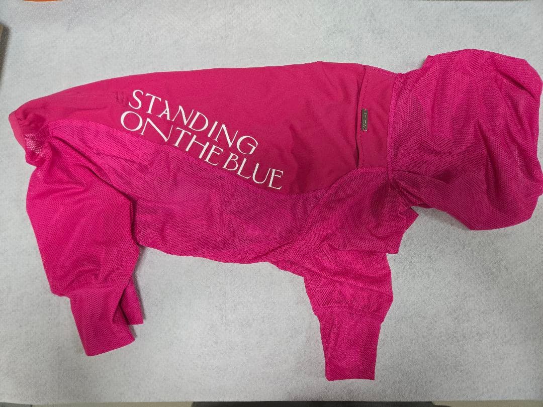 standing on the blue ピンクメッシュスーツ