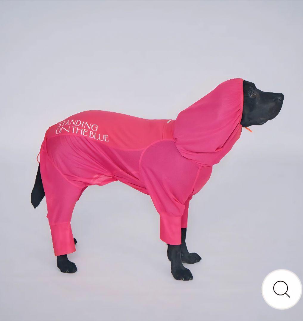 standing on the blue ピンクメッシュスーツ