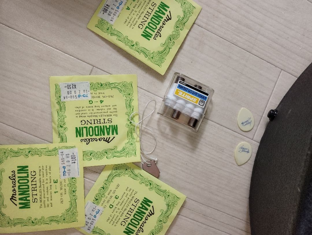 【美品】SUZUKI M-30マンドリン 8弦 ハードケース付き