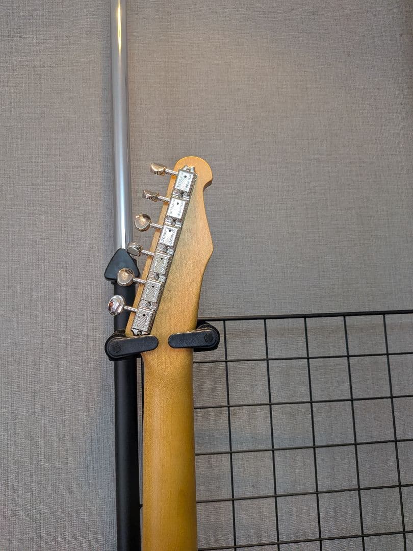 ギター RS Guitarworks Telecaster Retroboy