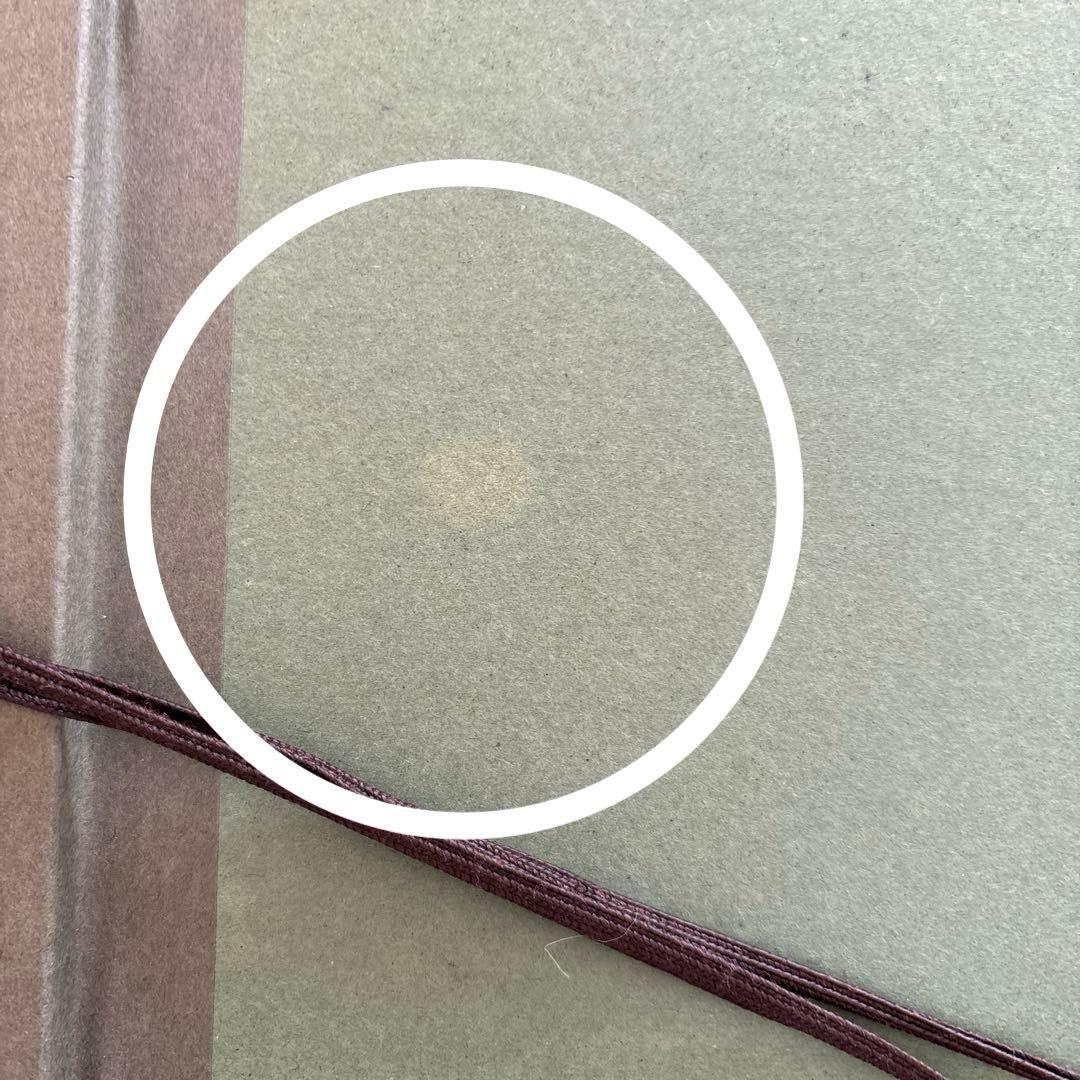 Seiji Fujishiro レフグラフ　サイン入り【線香花火】　藤城清治