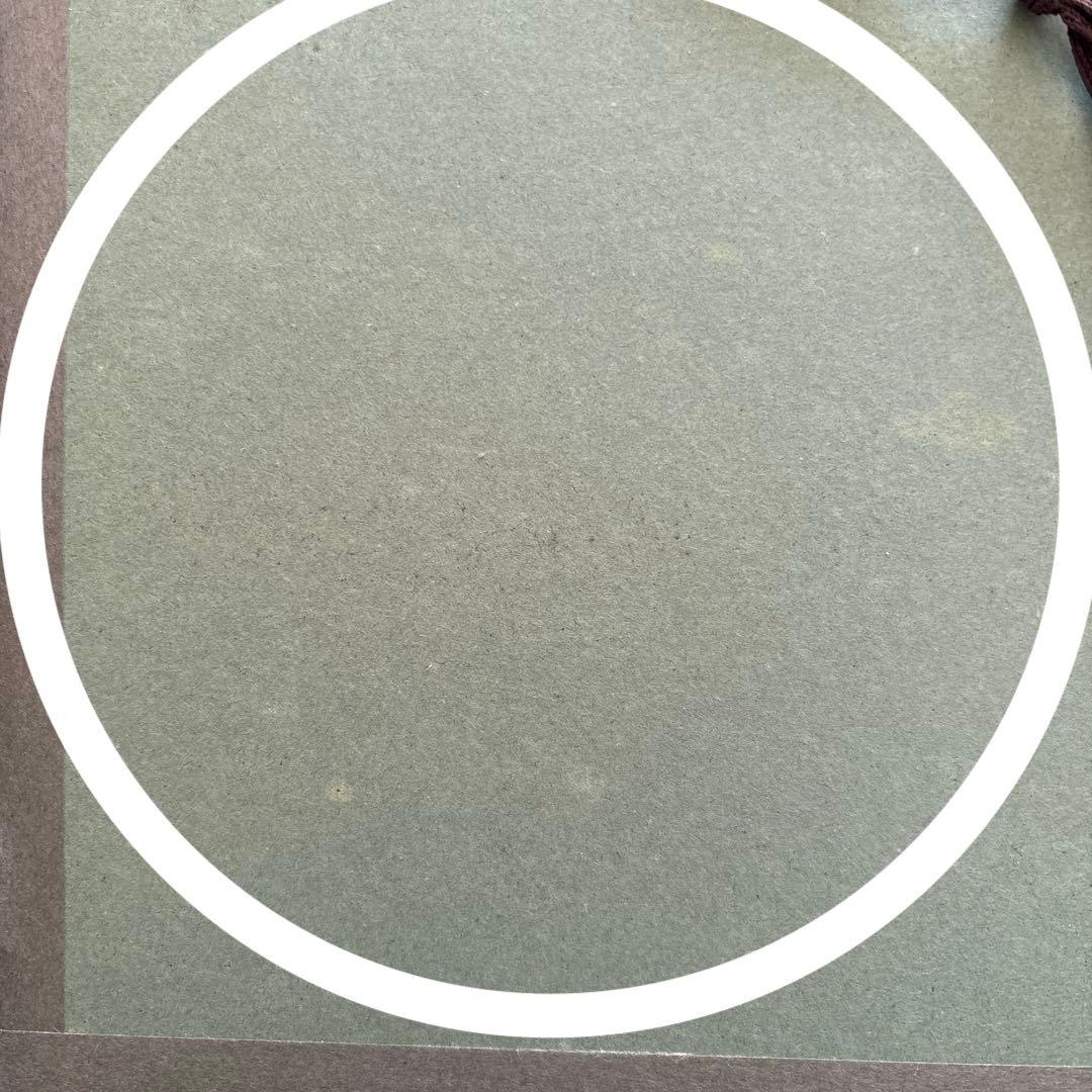 Seiji Fujishiro レフグラフ　サイン入り【線香花火】　藤城清治